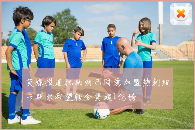 英媒报道托纳利已同意加盟热刺纽卡斯尔希望转会费超1亿镑